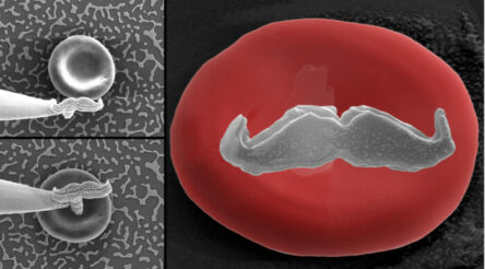 Image for Manufacturing news briefs — stories you might have missed