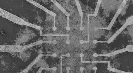 Image for We built a ‘brain’ from tiny silver wires. It learns in real time, more efficiently than computer-based AI