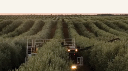 Image for From oily idea to global force in 25 years