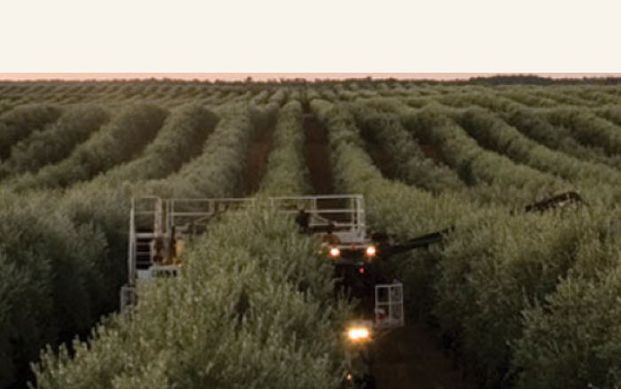 From oily idea to global force in 25 years