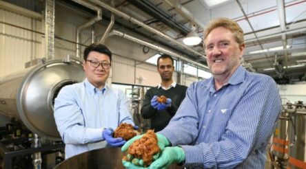 Image for $380 million REACH to launch at Deakin on Monday