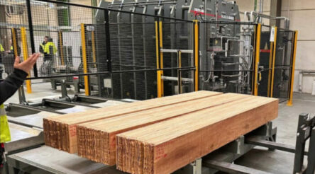 Image for Resuwood to soon begin “growing trees in a machine”