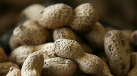 Image for Breakthrough Victoria shells out $12 million for peanut allergy treatment developer Aravax