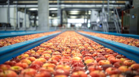 Image for Innovate to Grow opens for WA agrifood companies