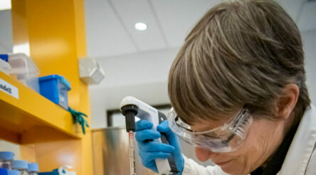 Image for “Largely untapped” synthetic biology industry could be worth $30 billion, 50,000 new jobs by 2040: report