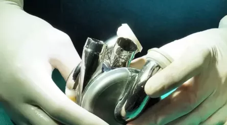 Image for Best of the week — the five most popular stories among readers, February 19 – February 23, 2024