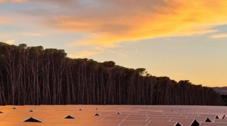 Image for Australia can successfully manufacture for solar PV industry, says new report