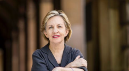 Image for Mary O’Kane recommends more uni R&D – but that’s not the innovation answer