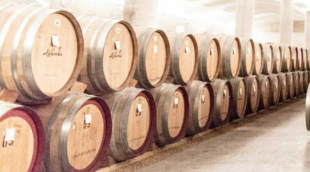 Image for Grants up to $100,000 announced for “renewables and low emission” project feasibility studies