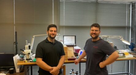 Image for The importance of bringing play to work