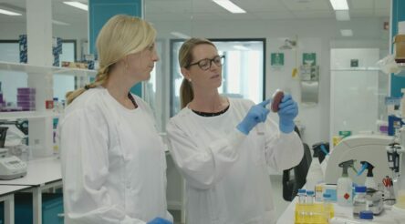 Image for $3 million awarded to five antimicrobial resistance-related projects