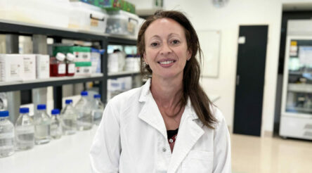 Image for Researchers use tiny spikes on silicon to to kill viruses