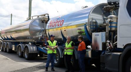 Image for Norco resumes exports following Northern Rivers floods