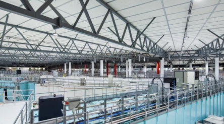 Image for Researchers open up critical minerals R&D for SMEs