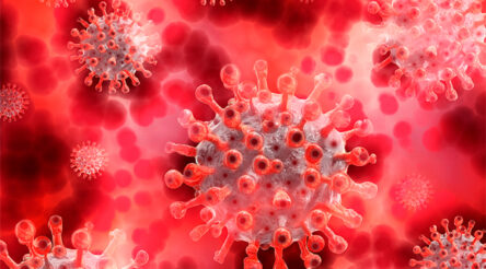 Image for Engineers develop portable RAT test