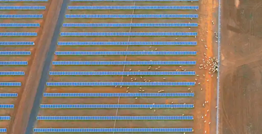No threat to farm land: just 1,200 square kilometres can fulfil Australia’s solar and wind energy needs