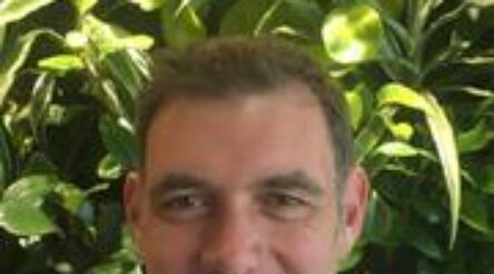 Image for New energy superpower to new energy manufacturer – report