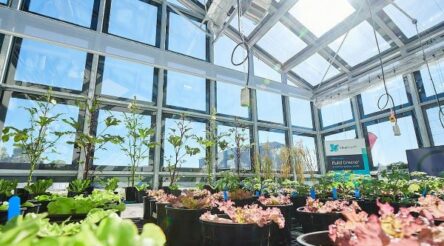 Image for ClearVue secures Australian launch customer