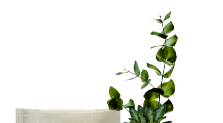 Image for First Aussie made, fully certified flushable wet wipes to hit the shelves