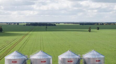 Image for Celebrating Australian Made — silo specialist moves into new era
