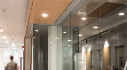 Image for Breakthrough Victoria backs Neo-Bionica