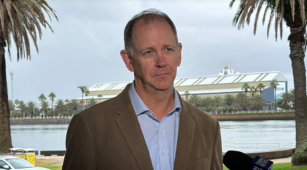 Image for Newcastle could establish NSW’s 2nd container port