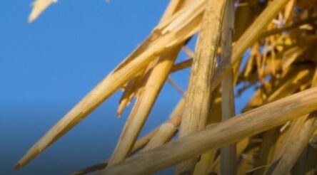 Image for Rio Tinto to invest $215 million in BioIron facility