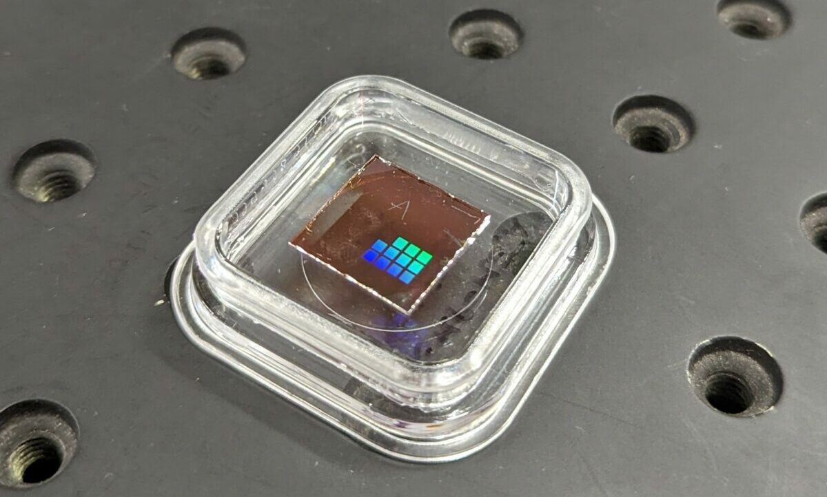 PXL_20240529_043825604~2