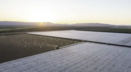 Image for Kimberley cotton gin on track for mid-2025 harvest: WA government