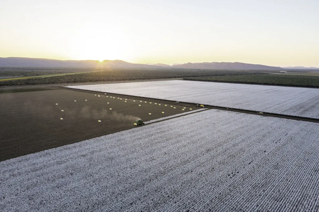 kimberley-cotton-co-gin-aerial-wide-view-of-tracktor-picking-cotton-in-a-large-field-at-sunset-with-mountains-kununnurra