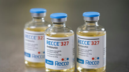 Image for Recce awarded $US 2 million grant to develop burn treatment for military