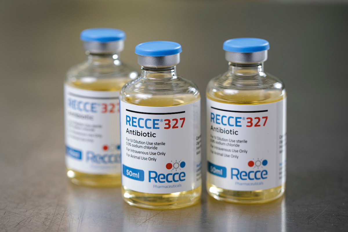 Reece photography 041120