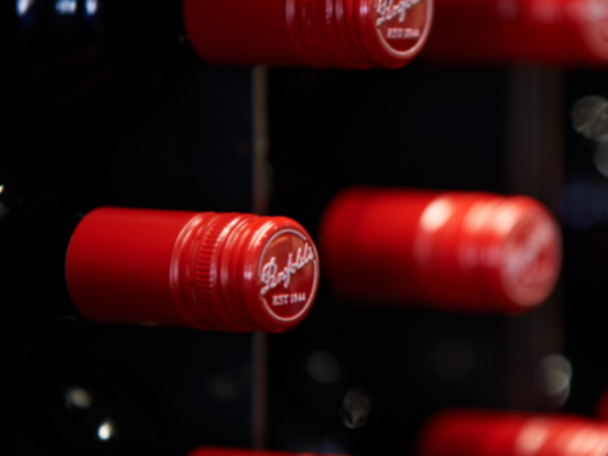 Capture-12-1200×900-c-default-1200×900-c-default-1200×900-c-default-1200×900-c-default (1)