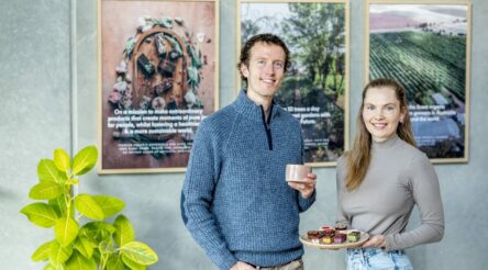 Image for Purpose and productivity