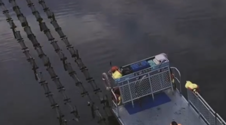 Image for CSIRO puts food industry on innovation menu