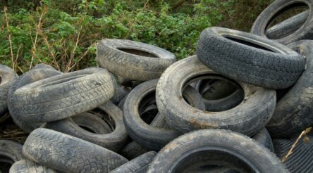 Image for Government procurement needed to address waste problem: TSA