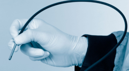 Image for Optiscan eyes the veterinary market for cancer detection