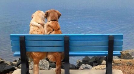 Image for LoomTex textile waste turns into park benches