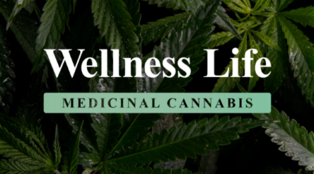 Image for Wellnex Life’s cannabis brand goes on sale
