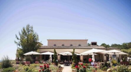 Image for Penfolds maker doubles down on China