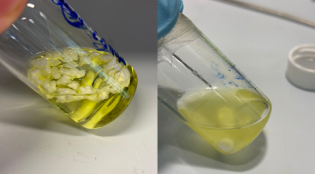 Image for UNSW researchers develop simple method for breaking down plastics