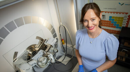 Image for Global chip shortage over, local policy shortage endures