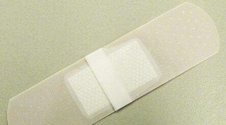 Image for Research shows potential for a new “off-the-shelf” cell-based therapy for tissue healing