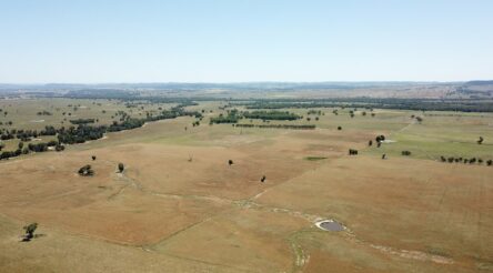 Image for Million-panel solar farm in NSW gets federal approval
