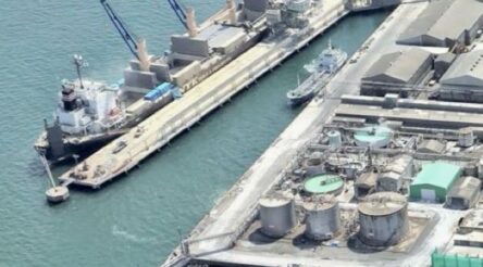 Image for Element 25 plans second manganese plant in Japan