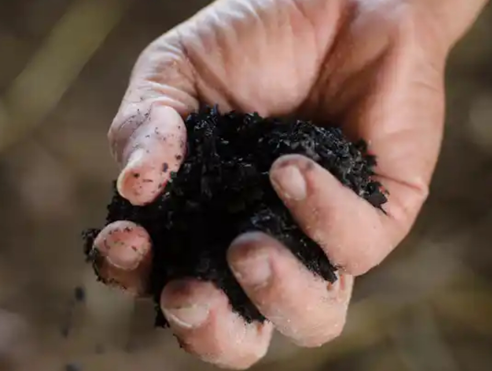 Biochar doesn’t just store carbon – it stores water and boosts farmers’ drought resilience