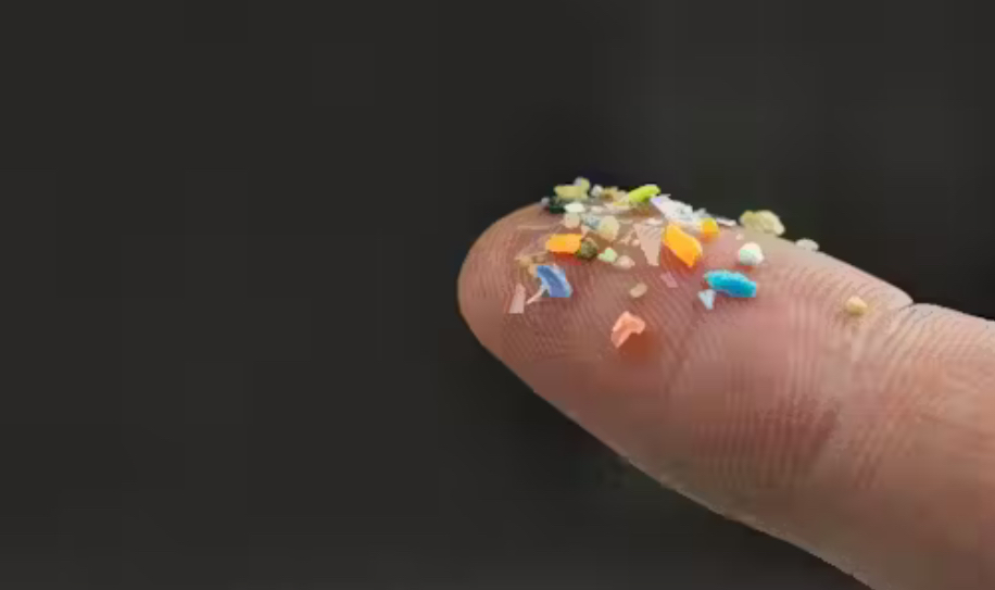 Scientists reviewed 7,000 studies on microplastics. Their alarming conclusion puts humanity on notice