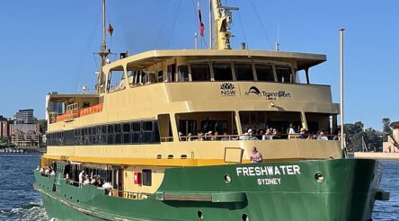 Image for Replacement for Freshwater ferries to be electric, locally-made