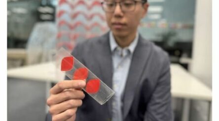 Image for Flat pack tubes pop up to make building materials