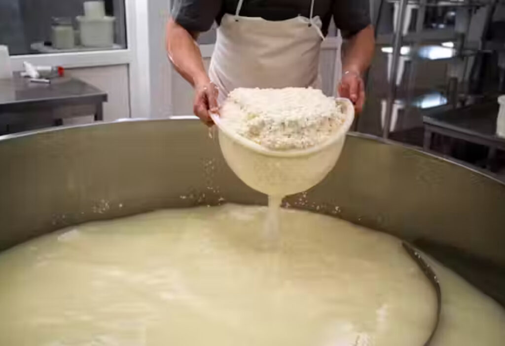 Huge volumes of whey go to waste. We could do much more with this nutrient-rich liquid